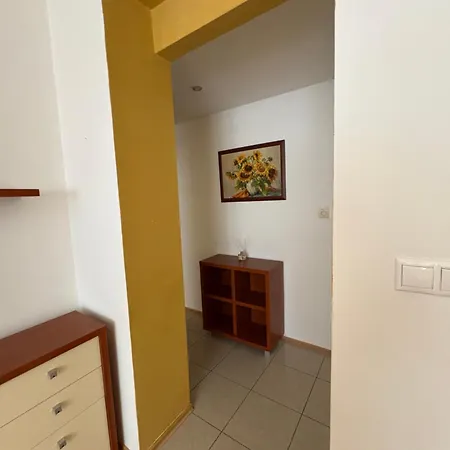 V Centre Mesta S Vyhladom Na Pesiu Zonu Nagymihály