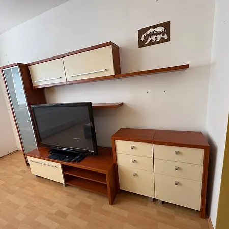 V Centre Mesta S Vyhladom Na Pesiu Zonu Nagymihály