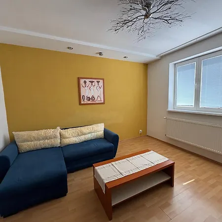 V Centre Mesta S Vyhladom Na Pesiu Zonu * Nagymihály