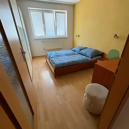 V Centre Mesta S Vyhladom Na Pesiu Zonu Apartman