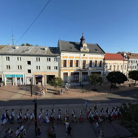 V Centre Mesta S Vyhladom Na Pesiu Zonu * Michalovce