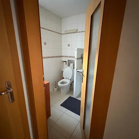 V Centre Mesta S Vyhladom Na Pesiu Zonu Apartmán