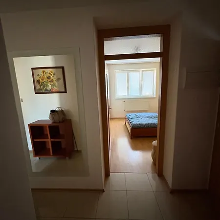 V Centre Mesta S Vyhladom Na Pesiu Zonu *