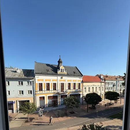 V Centre Mesta S Vyhladom Na Pesiu Zonu