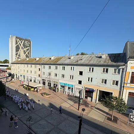 V Centre Mesta S Vyhladom Na Pesiu Zonu Apartmán