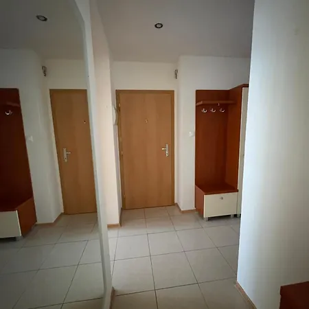 V Centre Mesta S Vyhladom Na Pesiu Zonu Nagymihály